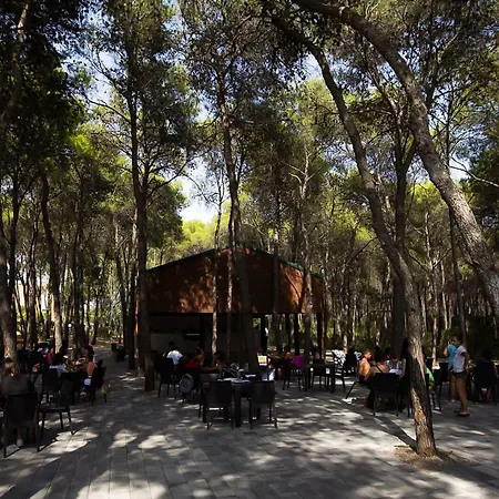 Resort Nicolaus Club Magna Grecia 4*